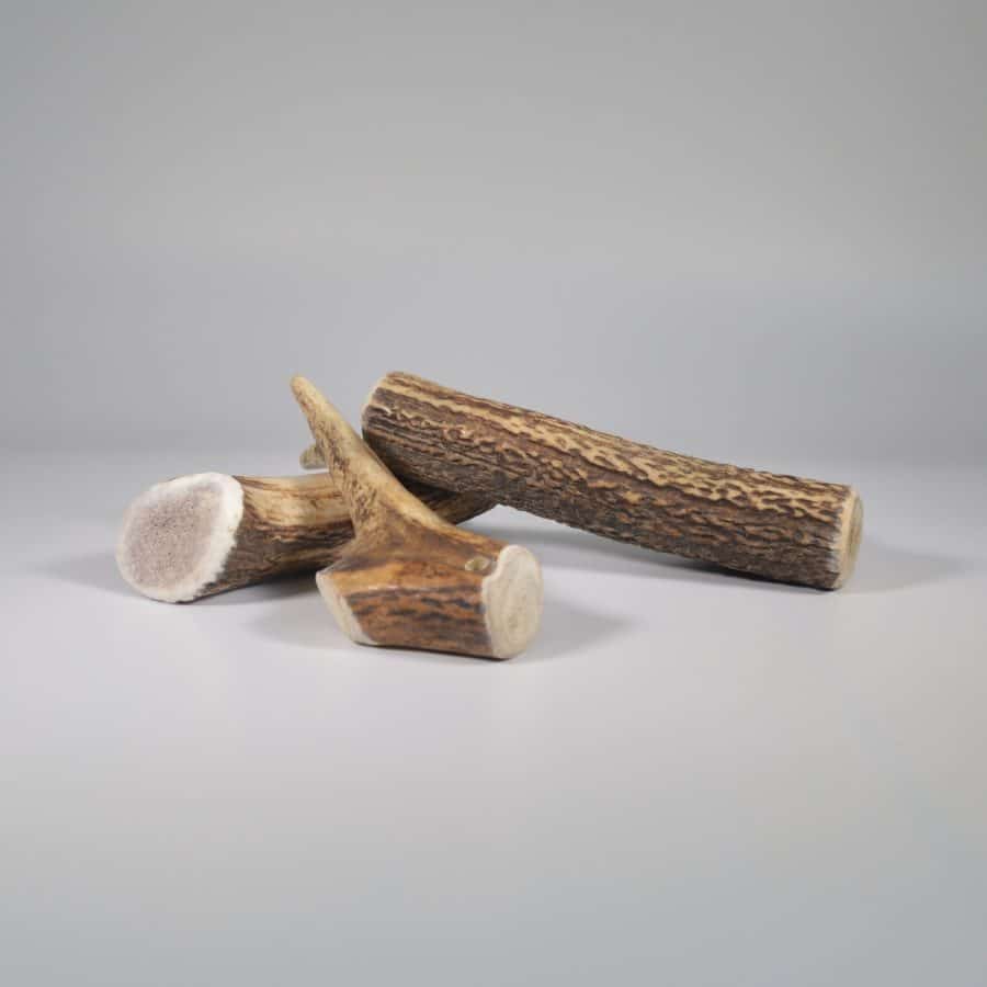 Bois de cerf Entier