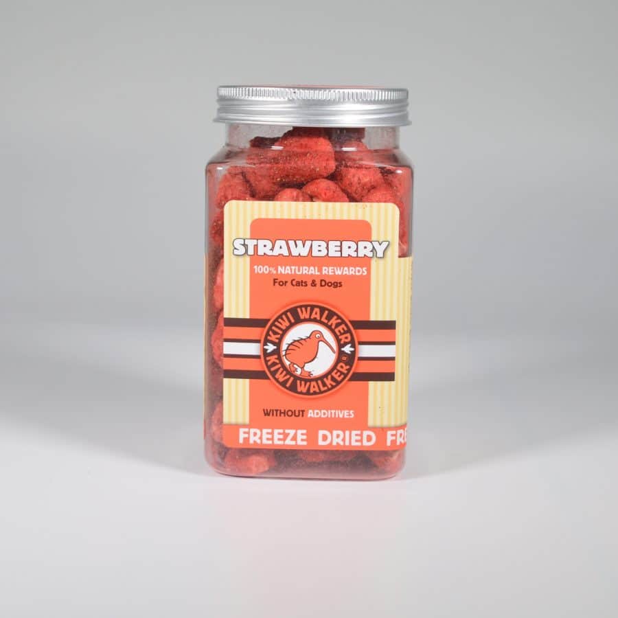 Friandise Naturelle 100% Fraise